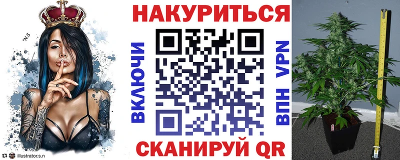 Шишки марихуана семена  дарнет шоп  Магас 